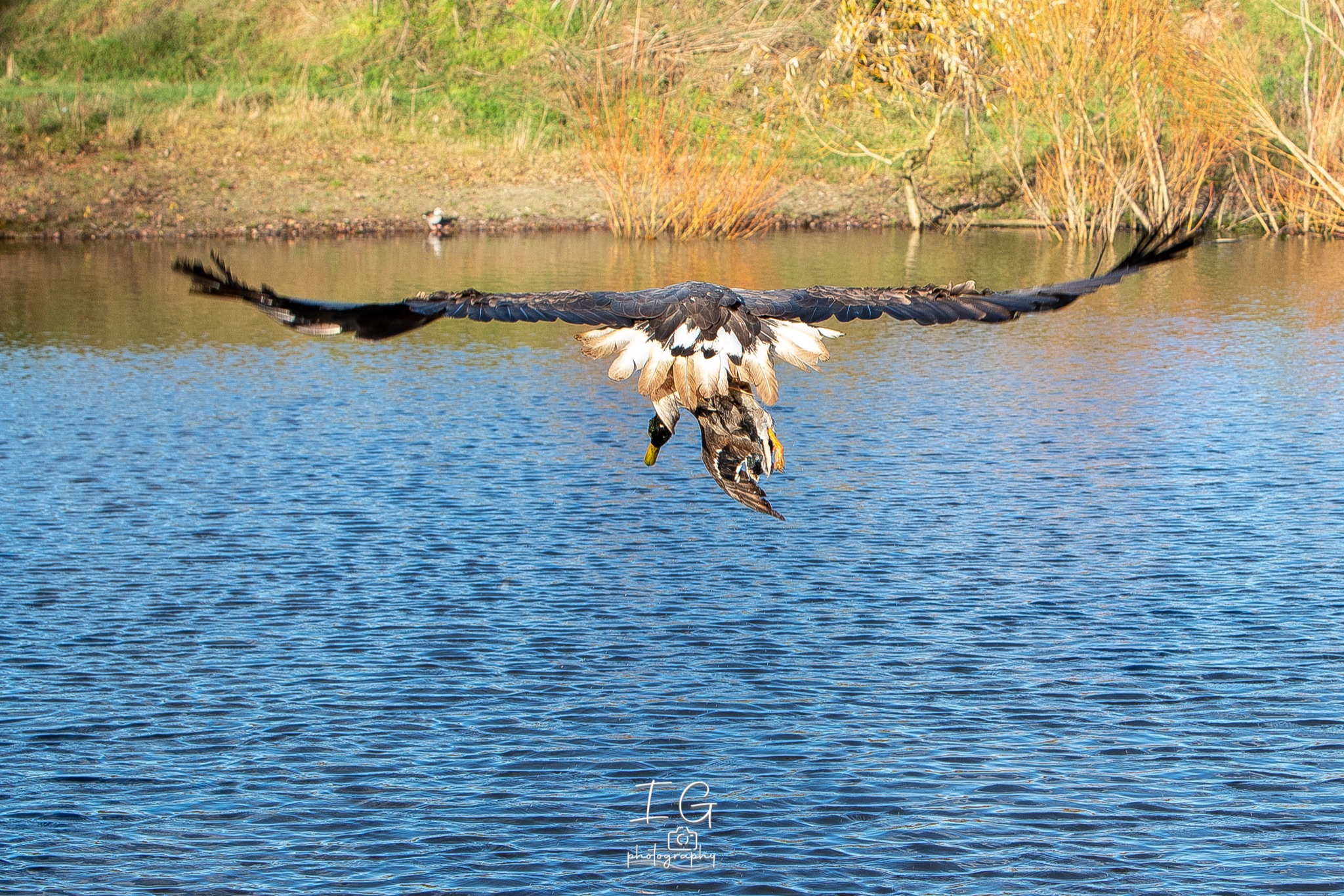 1DX44280 21 november 2021 1417 33